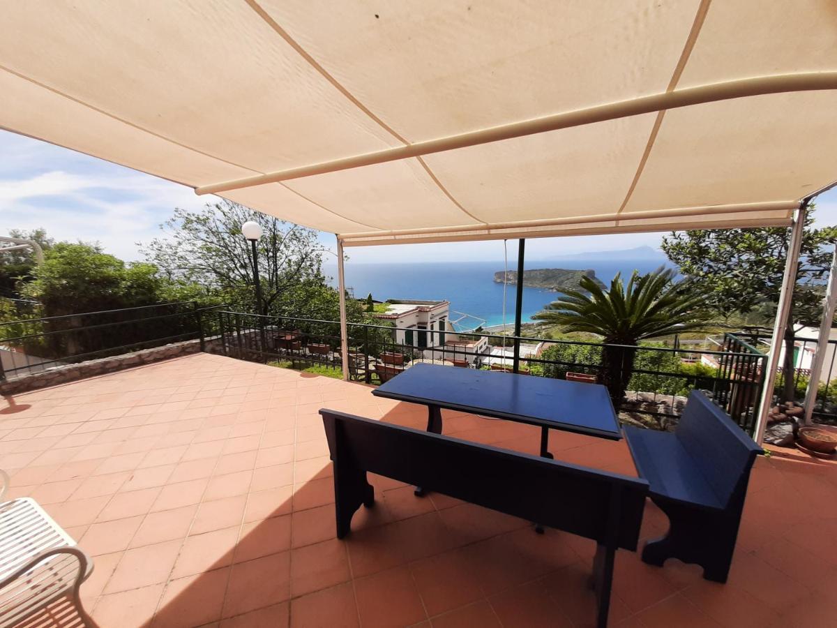 Arcomagno Guest House San Nicola Arcella Exterior foto